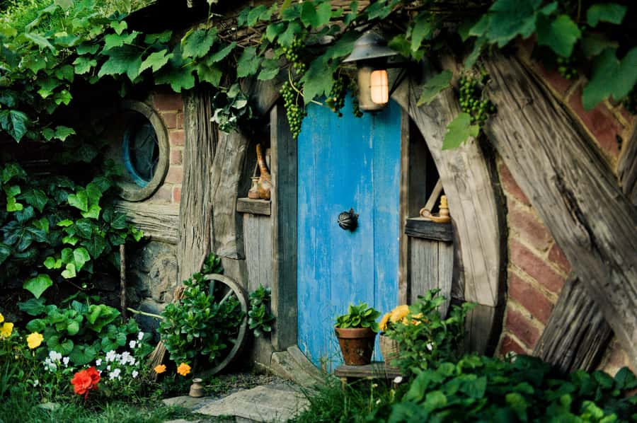 Hobbiton Movie Set & Rotorua Premium Day Tour from Auckland - Should you book Hobbiton and Rotorua together?
