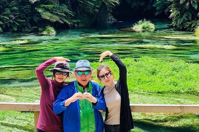 Hobbiton Movie Set tour & Glowworm Cave day tour - The long road back to Auckland