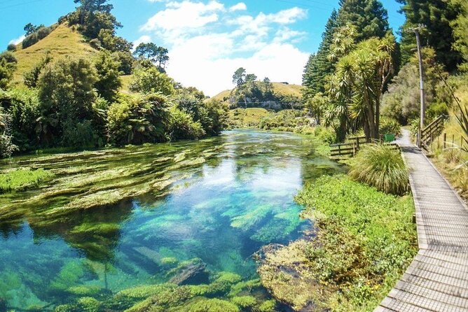 Hobbiton Movie Set Tour to Blue Springs and Mineral Spa - Tirau lunch, a useful pause rather than a sightseeing marathon