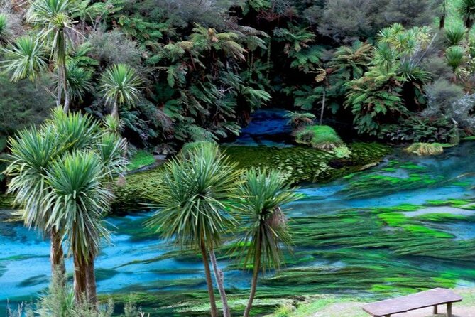 Hobbiton Movie Set Tour to Blue Springs and Mineral Spa - Who will enjoy this Auckland day trip most