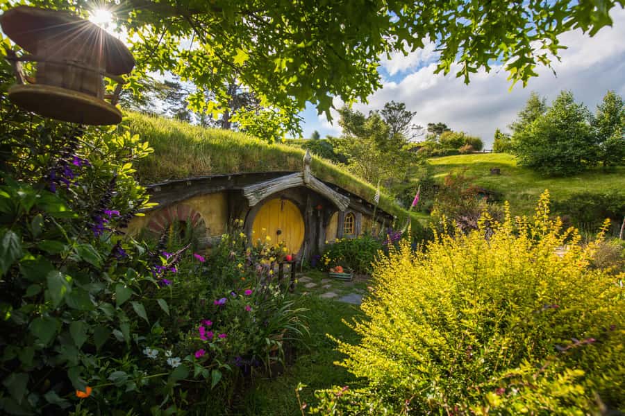 Hobbiton Movie Set Tour to Blue Springs and Waitomo caves - Key points at a glance