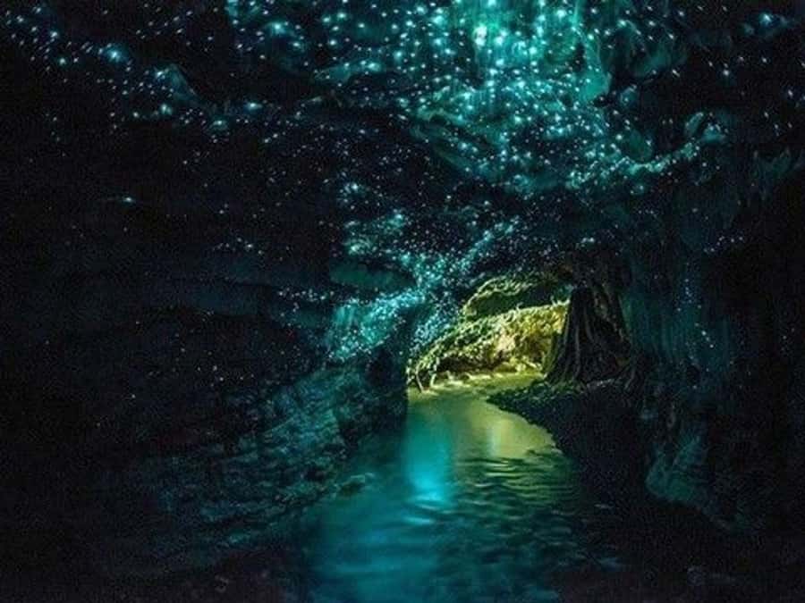 Hobbiton Movie Set Tour to Blue Springs and Waitomo caves - Blue Springs: clear water and a quieter finish