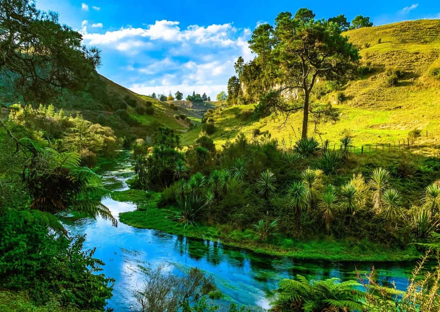Hobbiton Movie Set Tour to Blue Springs and Waitomo caves - The small-group difference, and the guides