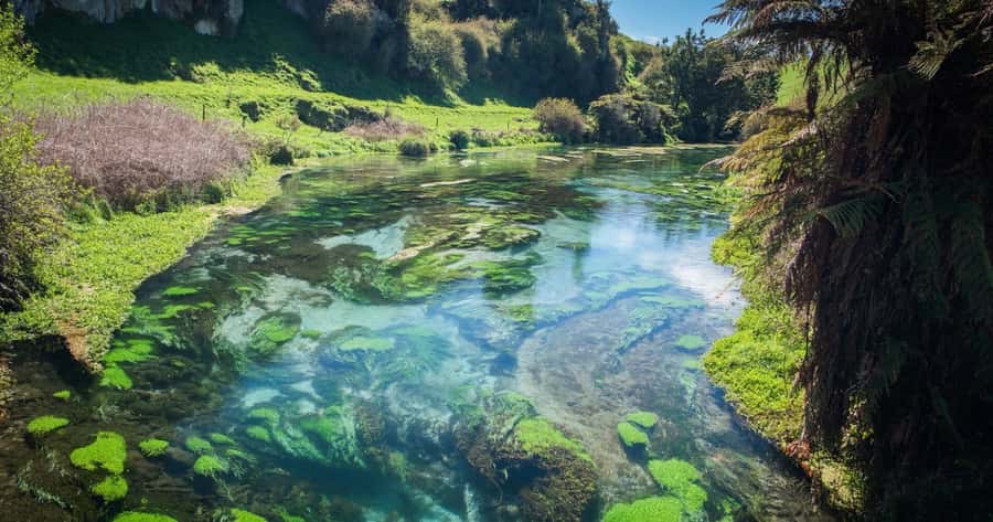 Hobbiton Movie Set Tour to Blue Springs and Waitomo caves - Who should book this day trip?