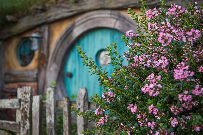 Hobbiton Movie set & Waitomo Caves Small Group Tour From Auckland - Key things to know before booking