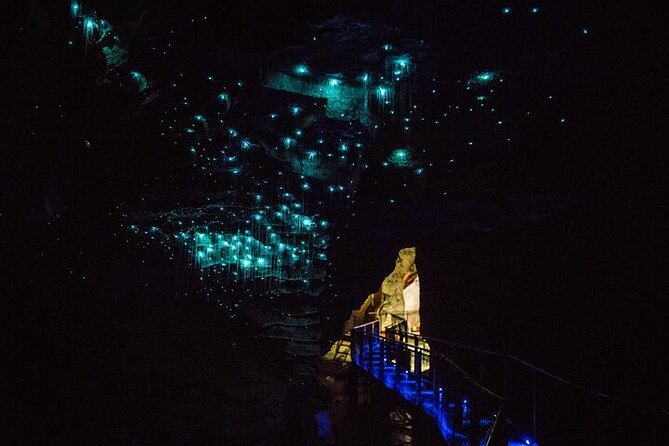 Hobbiton Movie Set & Waitomo Glow Worm Caves Private Tour - Is $614.37 per person a fair price?