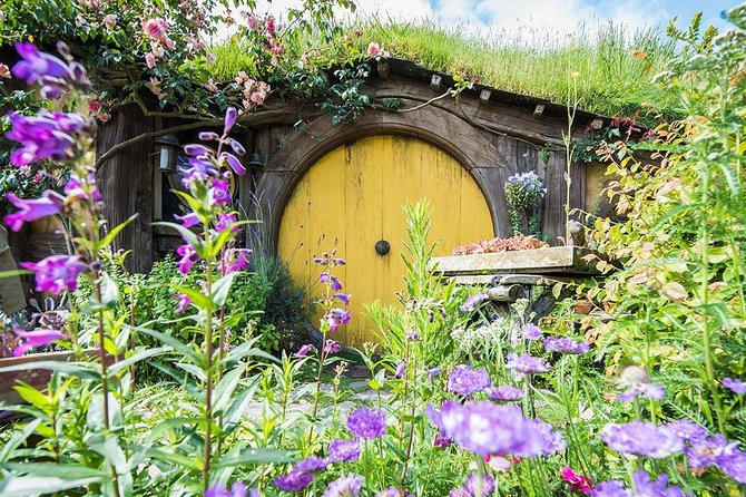 Hobbiton & Rotorua Small Group Tour including Te Puia from Auckland - Is $266.23 good value?