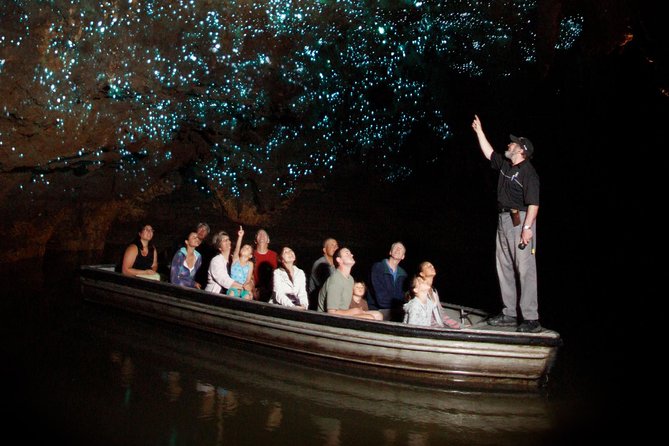 Hobbiton & Waitomo Caves Exclusive Luxury Day Tour From Auckland - Why this private Auckland day trip works