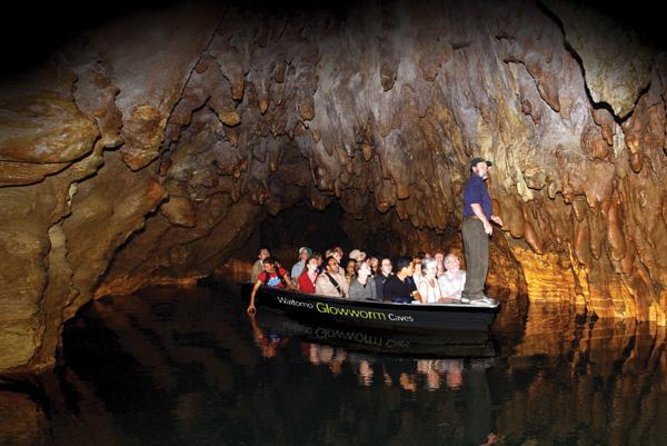 Hobbiton & Waitomo Caves Guided Tour from Auckland with Lunch - How the $271.19 price measures up