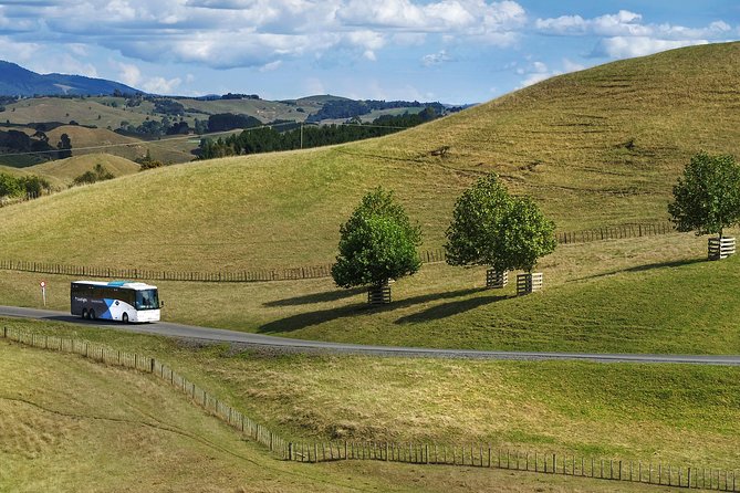 Hobbiton & Waitomo Caves Guided Tour from Auckland with Lunch - Should you book the Hobbiton and Waitomo tour?