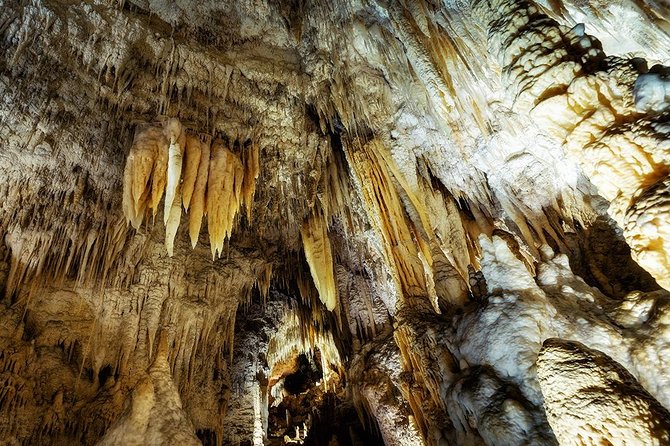 Hobbiton & Waitomo Caves Small Group Tour from Auckland inc Lunch - What the $235.20 price includes