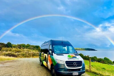 Hobbiton & Waitomo Caves Small-Group Tour W Lunch from Auckland