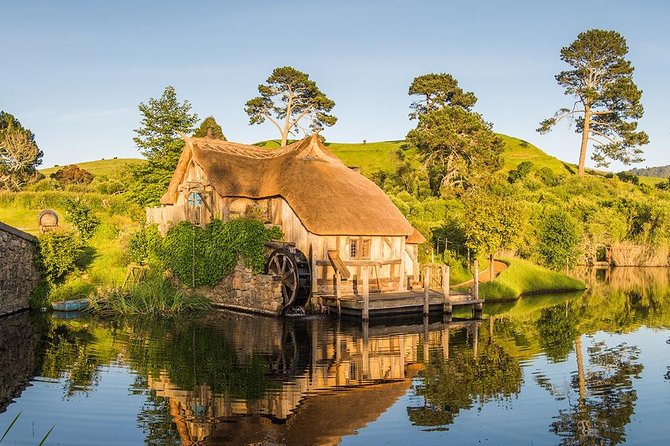 Hobbiton & Waitomo Caves Small-Group Tour W Lunch from Auckland - The long ride back to Auckland