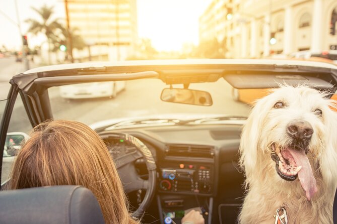 Hollywood Fame & Celebrity Homes Self-Guided Audio Bundle Tour - What this Hollywood drive actually delivers