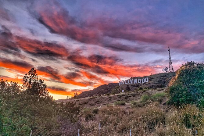 Hollywood Sign Express Tour with Comedians and Their Dogs - Stop two: the Hollywood Sign viewpoint