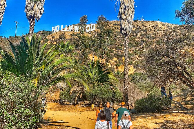 Hollywood Sign Express Tour with Comedians and Their Dogs - Who should book this experience