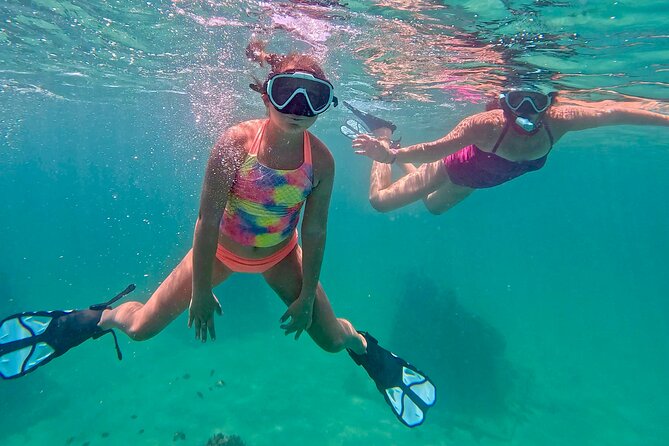 Hollywood Snorkel, Kayak & Paddleboard with Reefs and Sculptures - The beach setup makes the two and a half hours feel fuller