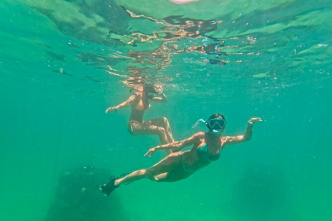 Hollywood Snorkel, Kayak & Paddleboard with Reefs and Sculptures - Is $89 a fair price?
