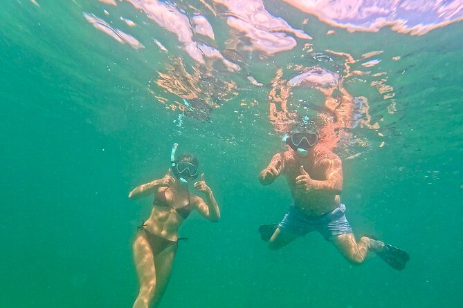 Hollywood Snorkel, Kayak & Paddleboard with Reefs and Sculptures - Who will enjoy this most?