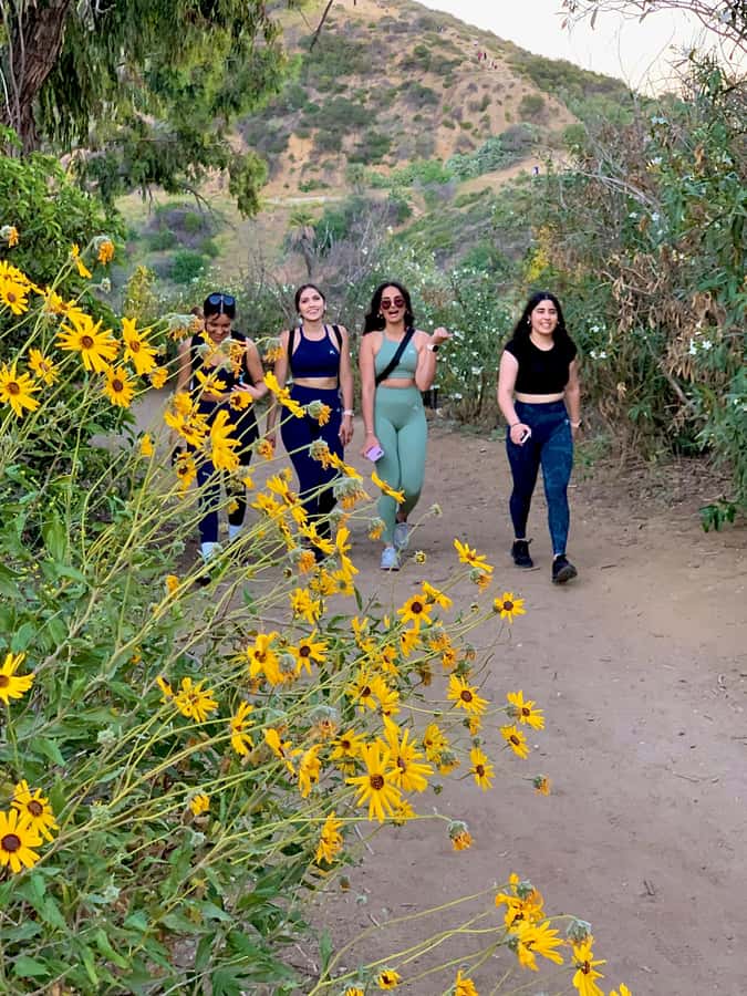 Hollywood Walking & Hiking Sunset Tour with LA Skyline Views - Practical details for a smoother evening