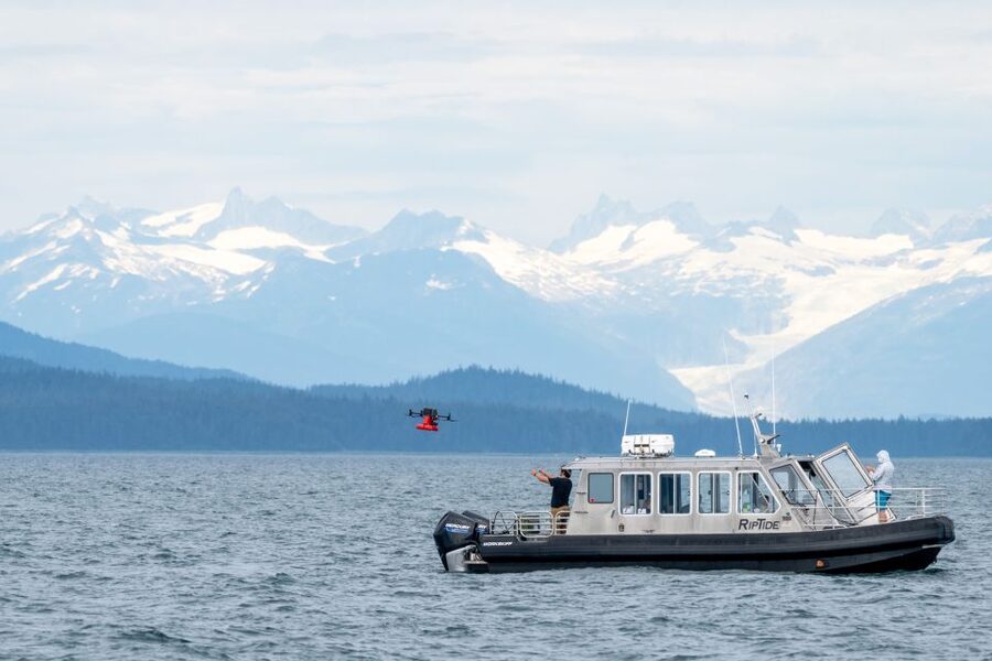 Hoonah: Icy Strait Whale Watch with Drone Filmography - Why the drone changes a whale watch
