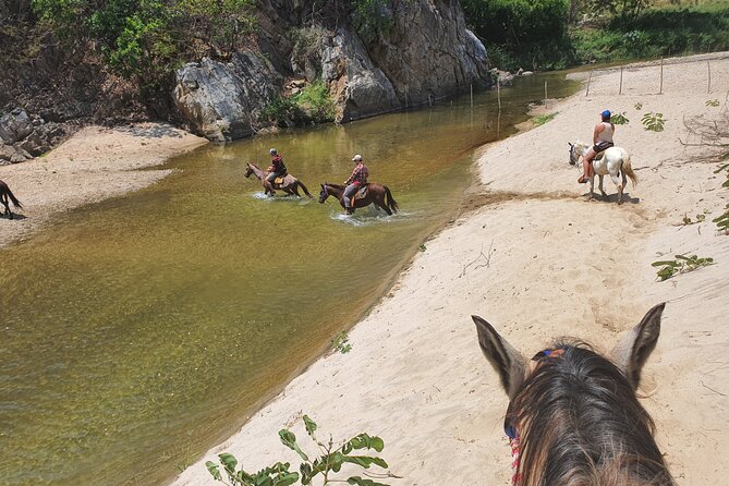 Horses on The Beach or Hot Springs - Choosing between the beach and hot springs