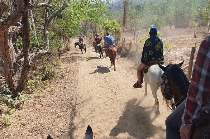 Horses on The Beach or Hot Springs - Pickup, transport, and the practical rhythm of the day