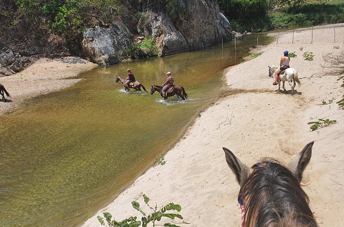 Horses on The Beach or Hot Springs - Is $164.29 a fair price?