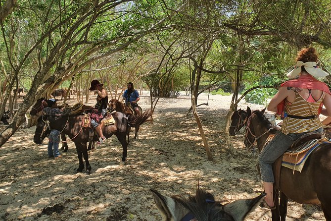 Horses on The Beach or Hot Springs - Riding through the Laguna Manialtepec area
