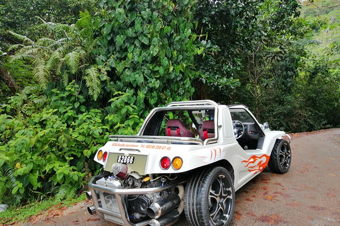 Island tour with the beach buggy - Key points to know before booking