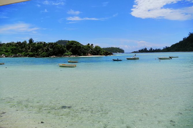 Island tour with the beach buggy - Takamaka Rum Distillery, gardens, and giant tortoises