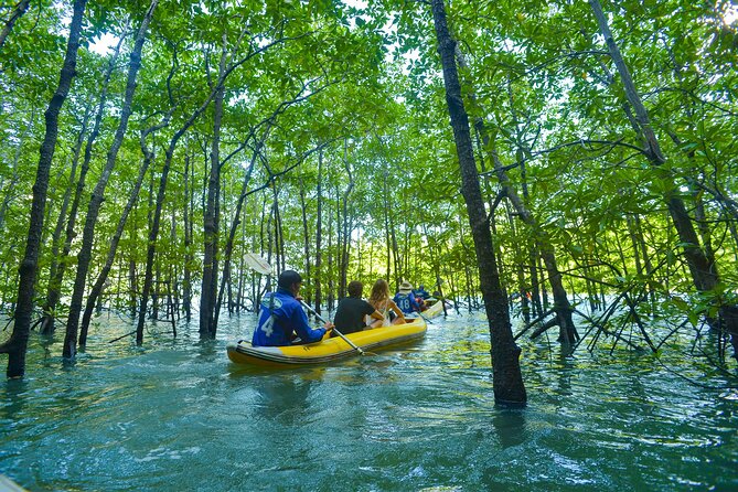 James Bond and Koh Panyee Village Sea Canoeing from Khao Lak - Key points at a glance