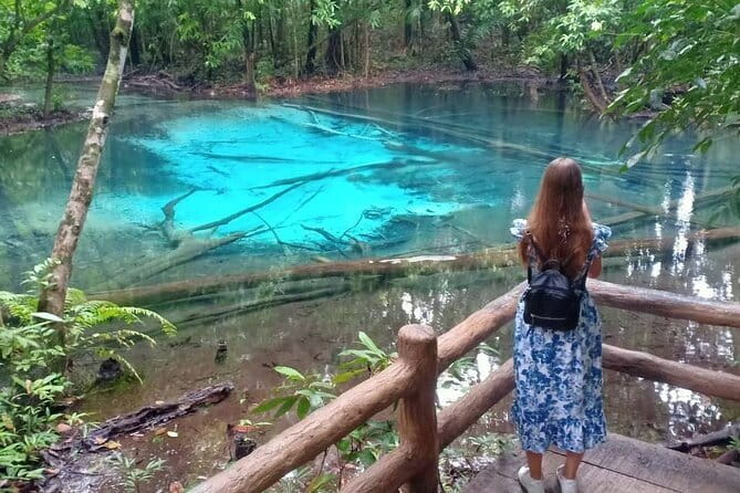 James Bond Island Sightseeing or Canoeing by Speedboat from Krabi - Koh Panyee and life above the shallow sea