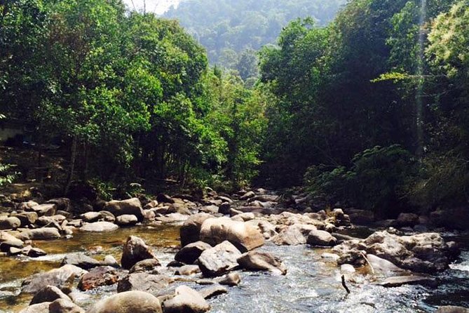 James Bond Island Sightseeing Tour by Longtail Boat from Phuket - Lunch and local life at Koh Panyee