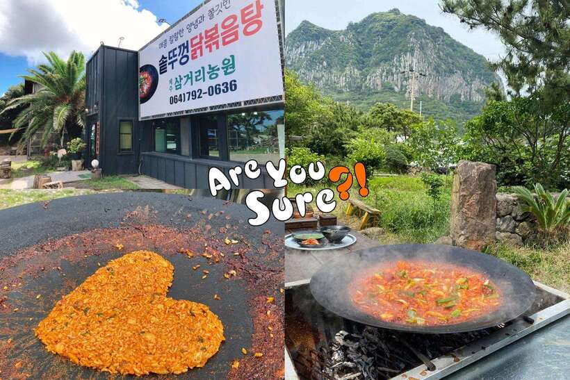 Jeju: BTS Are You Sure?! Filming Locations Private Taxi Tour - What this BTS Jeju tour is really like