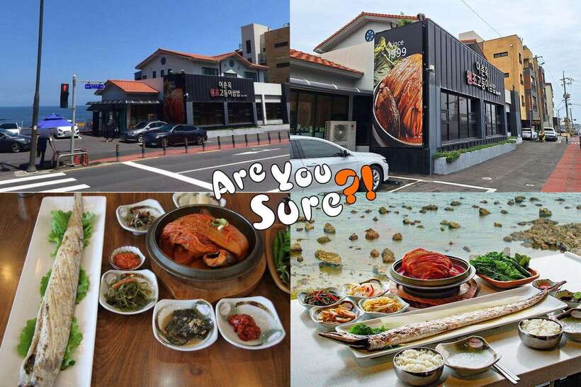 Jeju: BTS Are You Sure?! Filming Locations Private Taxi Tour - Jeju Active Park brings a change of pace