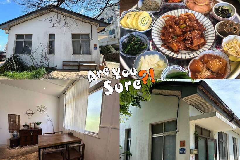Jeju: BTS Are You Sure?! Filming Locations Private Taxi Tour - What the eight-hour route adds