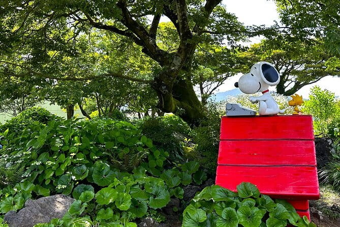Jeju BTS & K-drama Fans Small Group Tour incl. Snoopy Garden - Why this Jeju day works for K-drama and BTS fans