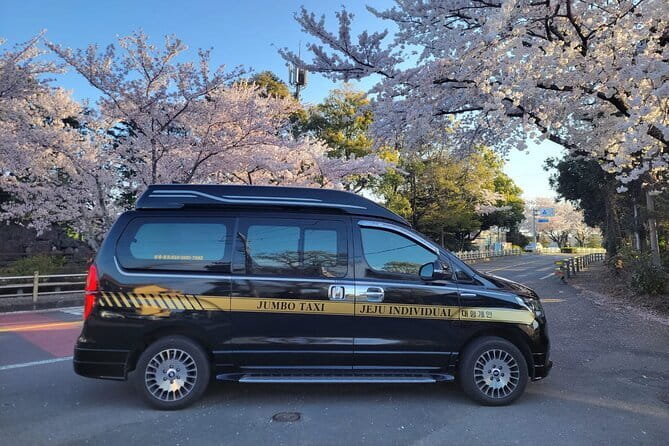 Jeju BTS & K-drama Fans Small Group Tour incl. Snoopy Garden - Gwangchigi Beach offers the classic Seongsan view
