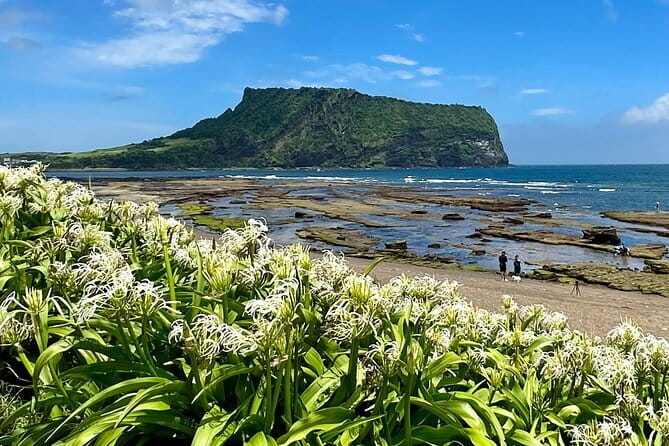 Jeju BTS & K-drama Fans Small Group Tour incl. Snoopy Garden - The haenyeo stop connects drama with working culture