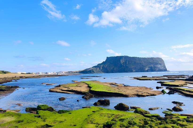 Jeju East: K-Drama Filming Spots Tour with Hotel Pickup - Secret Forest and the island’s volcanic ground