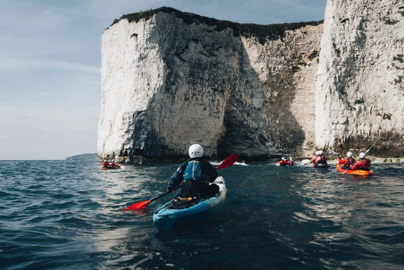 Jurassic Coast Kayaking Tour to Old Harry Rocks - Studland Bay wildlife and edible seaweed