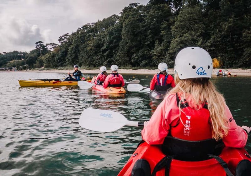 Jurassic Coast Kayaking Tour to Old Harry Rocks - Who should book this kayak tour?