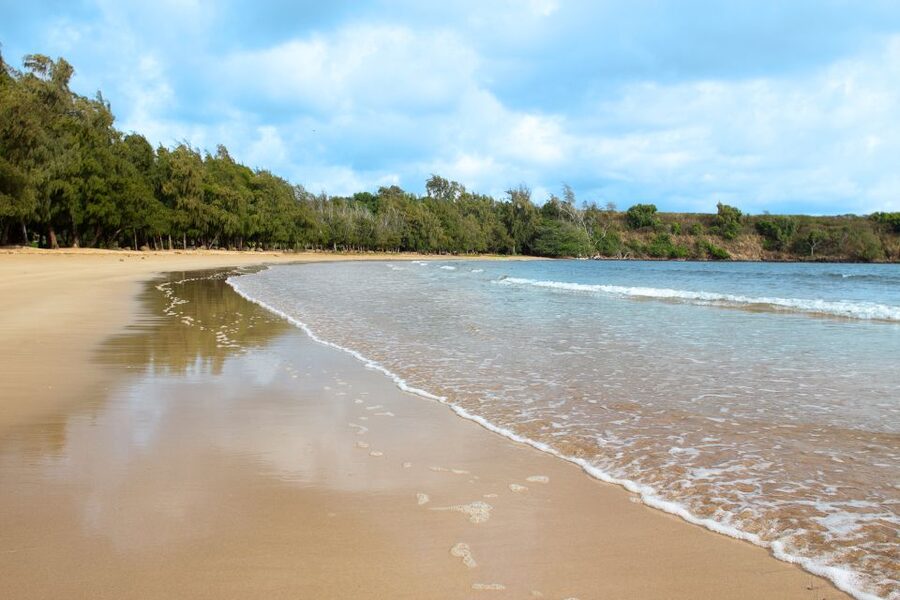 Kauai: Movie Locations Tour - Key points to know before you book