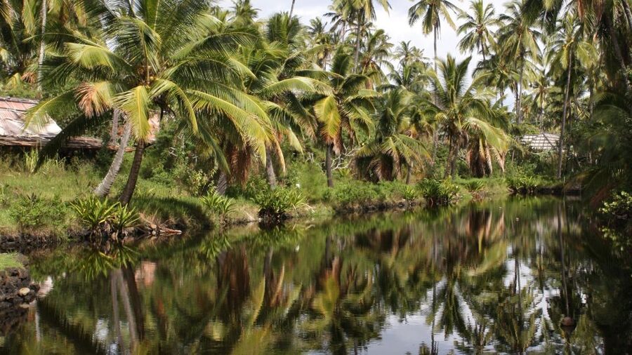 Kauai: Movie Locations Tour - Moloa‘a Bay and Gilligan’s Island require steady footing