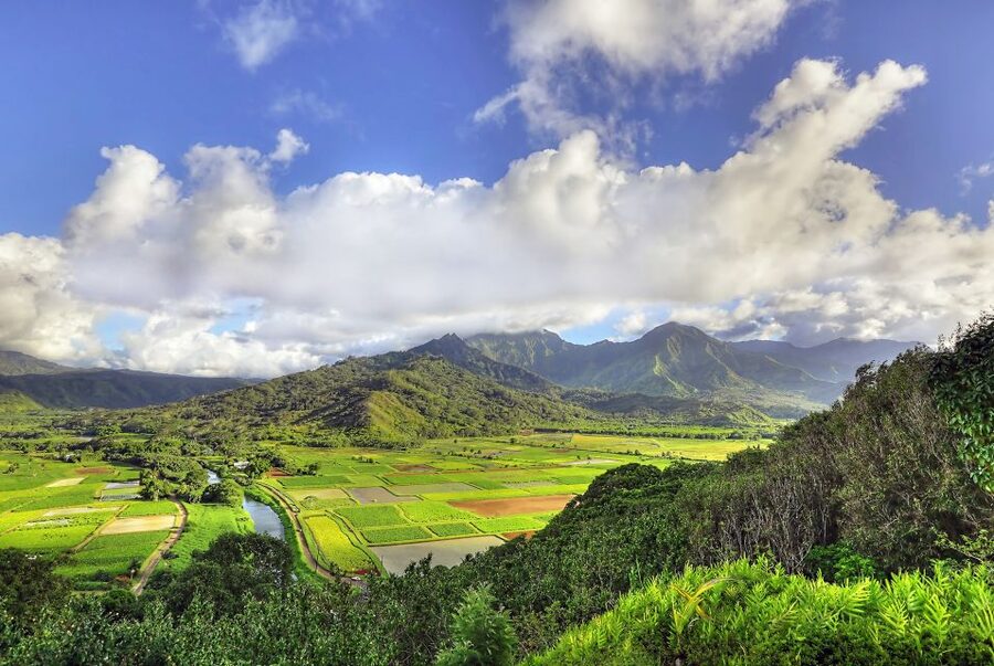 Kauai: Movie Locations Tour - The guides make the difference
