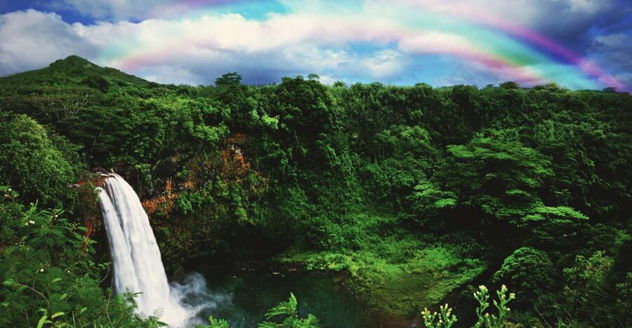 Kauai: Movie Locations Tour - What you get for $172