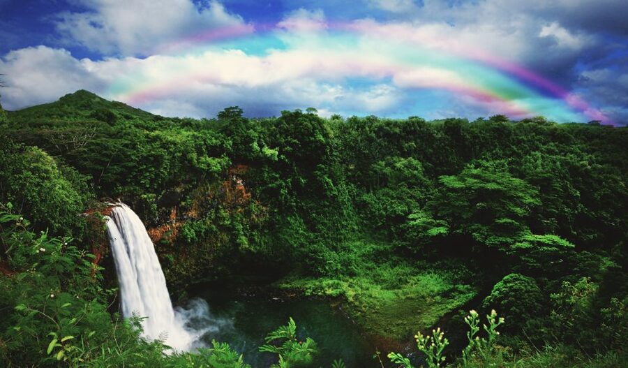 Kauai: Movie Locations Tour - The ride through Kauai’s film country