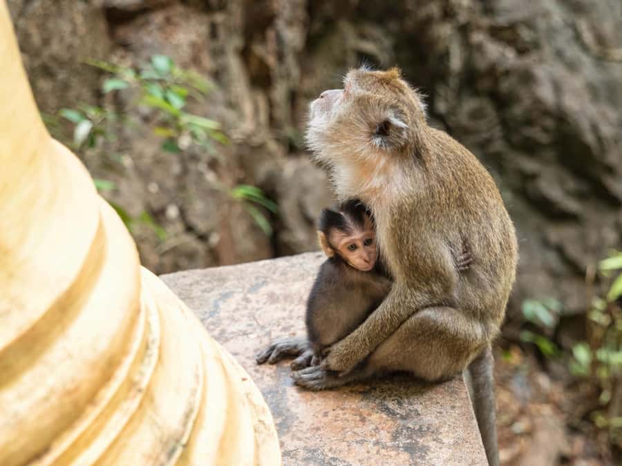 Krabi: James Bond Island Tour & Phang Nga by Longtail Boat - The schedule can stretch beyond eight hours