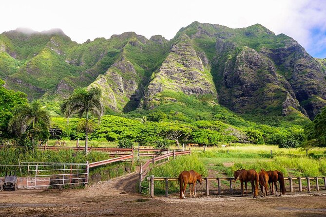 Kualoa Ranch Jurassic Adventure Tour - Key points before you book